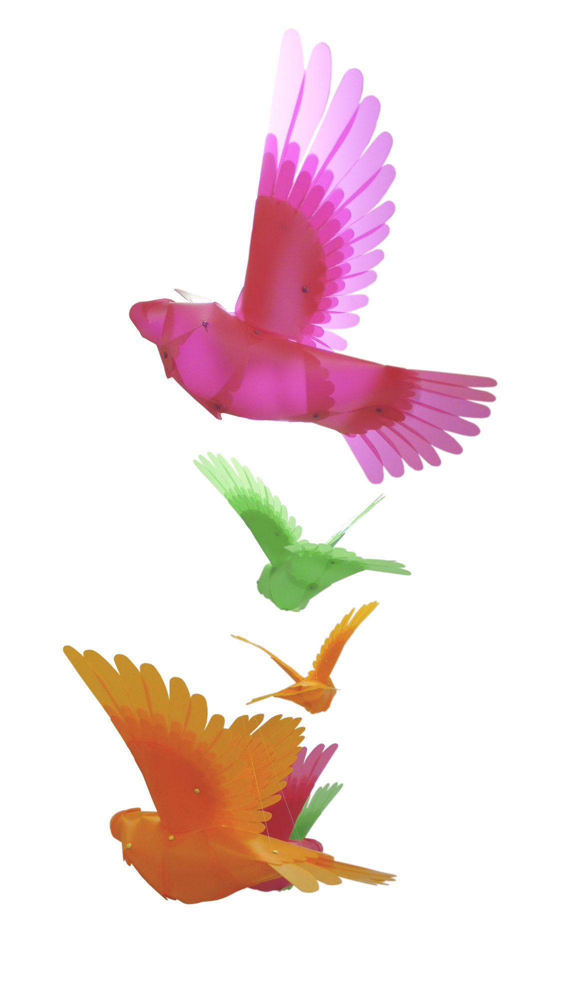 DOVE 2
